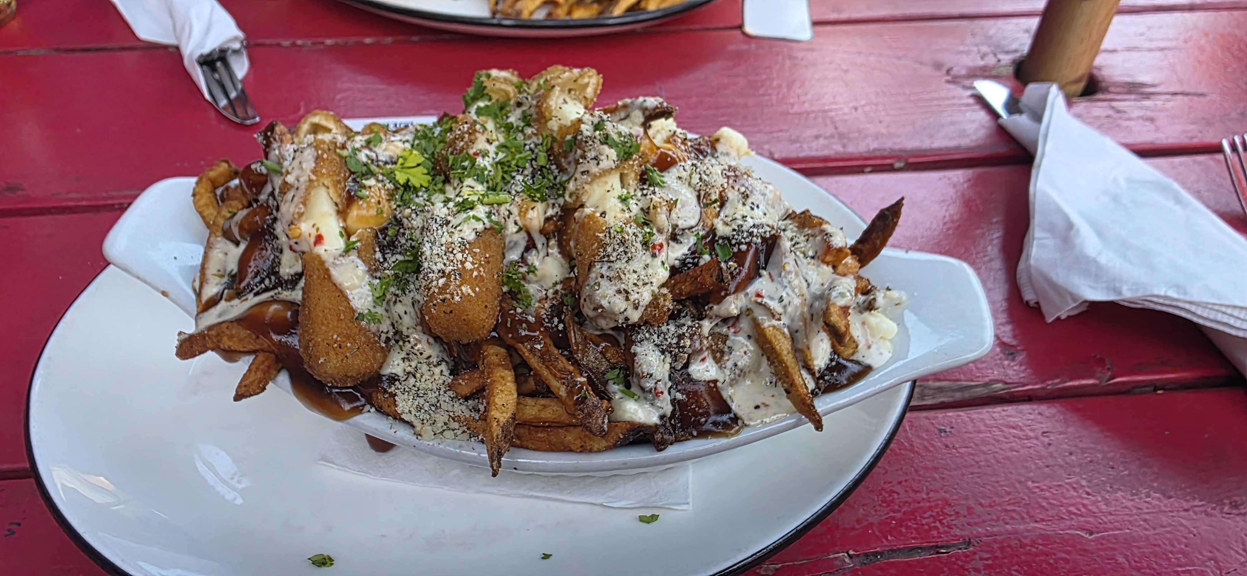 A loaded plate of fries and toppings